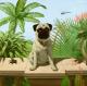 Kunstwerk - Pug in spider land---