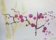 Kunstwerk - Cherry-blossoms - stencil