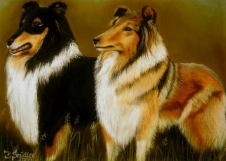 Collies - Jana Seidler - Array auf Array - Array - Array