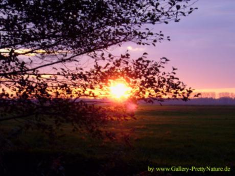 Sonnenuntergang - Petra PStarosky -  auf  - Array - 