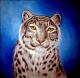 Kunstwerk - Snow Leopard