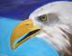 Kunstwerk - Seeadler (2007)   Copyright J.Rullmann