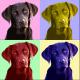 Kunstwerk - PopArt Labrador