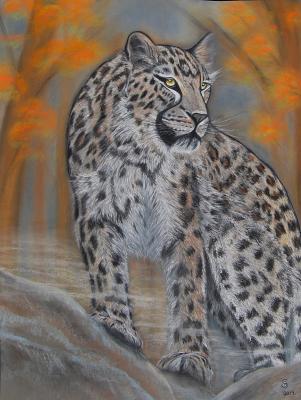 Leopard im Nebel - Jacqueline Scheib - Array auf  - Array - 